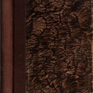 Do nových zítřků : román průbojného člověka