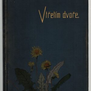 V třetím dvoře : román z pražského života