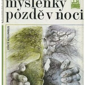 Myšlenky pozdě v noci