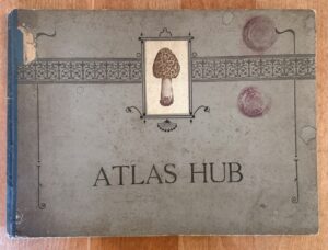 Atlas hub,  s četnými barevnými, umělecky věrně dle přírody provedenými obrazy nejhojněji se vyskytujících jedlých, podezřelých i jedovatých hub
