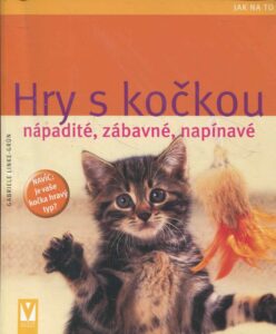 Hry s kočkou : [nápadité, zábavné, napínavé.